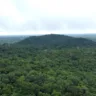 Legislação permite alterar termo de responsabilidade de manutenção de floresta manejada em casos específicos (Parque Nacional do Viruá, Caracaraí-RR - Reprodução TV Assembleia/SupCom-ALE-RR)