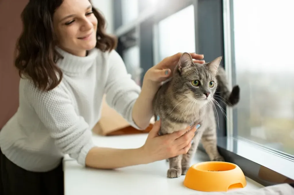 Descubra o que o seu gato não pode comer com essa perigosa lista