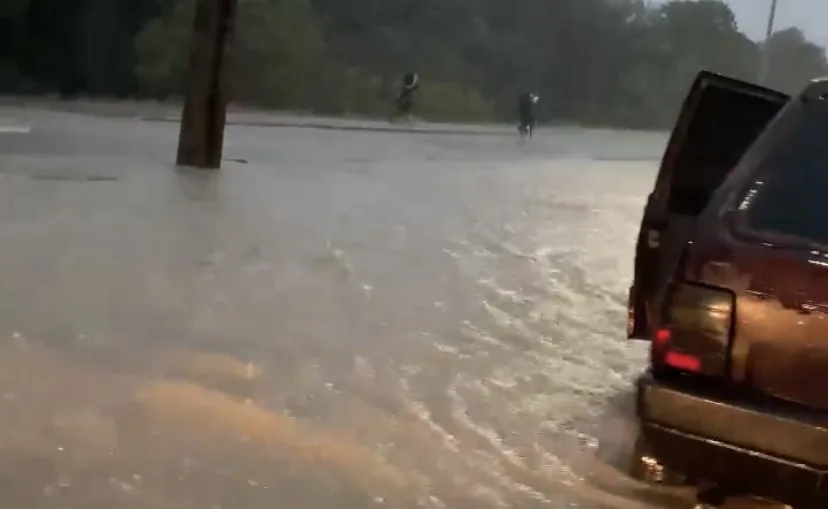 (Foto: reprodução/vídeo)