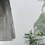  (Foto: Divulgação)
