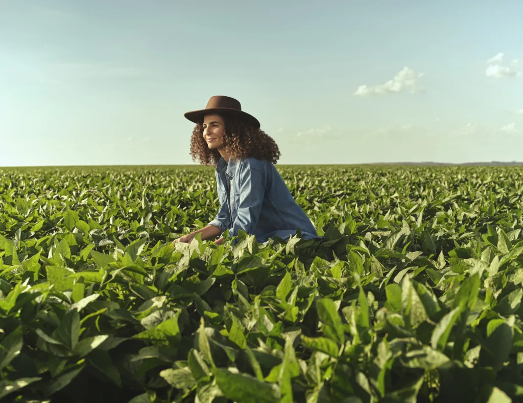 A modernização do campo e o acesso a crédito rural também são fatores que impulsionam o setor de seguros agropecuários. (Foto: Divulgação) A modernização do campo e o acesso a crédito rural também são fatores que impulsionam o setor de seguros agropecuários. (Foto: Divulgação)