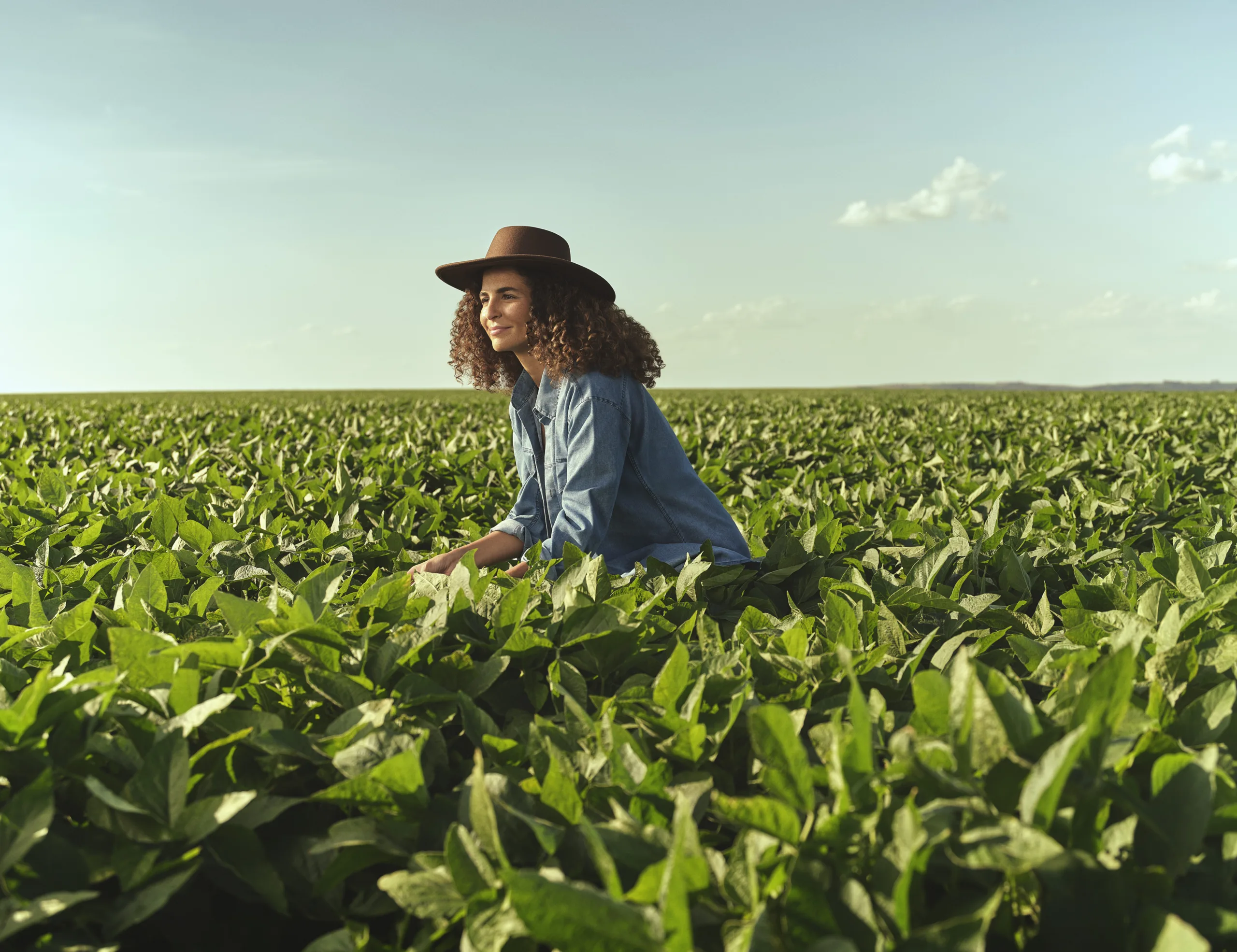 A modernização do campo e o acesso a crédito rural também são fatores que impulsionam o setor de seguros agropecuários. (Foto: Divulgação)