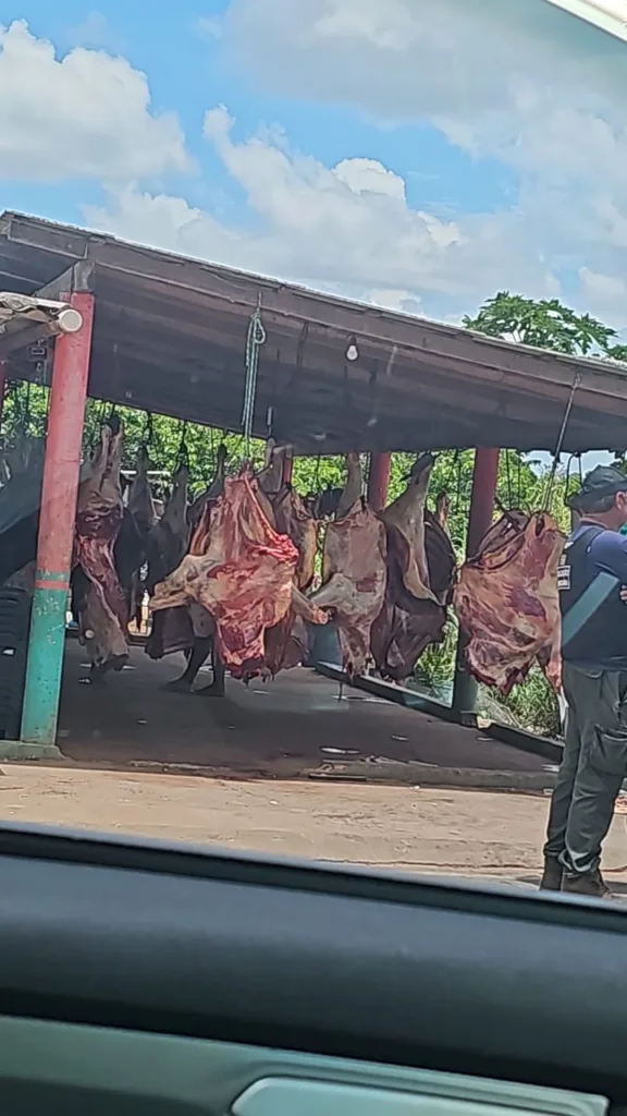 Abate clandestino é flagrado em Bonfim