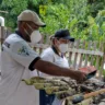 A Coordenadoria Geral de Vigilância em Saúde (CGVS) realizará uma reunião técnica em São João da Baliza para avaliar a situação epidemiológica. (Foto: Divulgação)