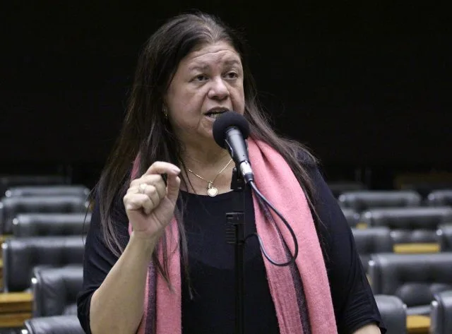 "Não é possível ter um filho sem ter responsabilidade sobre ele", afirmou a deputada Laura Carneiro (PSD-RJ). (Foto: Agência Câmara de Notícia)
