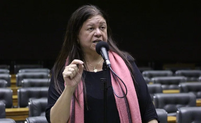 "Não é possível ter um filho sem ter responsabilidade sobre ele", afirmou a deputada Laura Carneiro (PSD-RJ). (Foto: Agência Câmara de Notícia)
"Não é possível ter um filho sem ter responsabilidade sobre ele", afirmou a deputada Laura Carneiro (PSD-RJ). (Foto: Agência Câmara de Notícia)