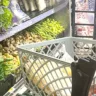 Em vez de comprar exclusivamente nos grandes supermercados, vale a pena explorar feiras livres e mercados municipais (Foto: Divulgação)