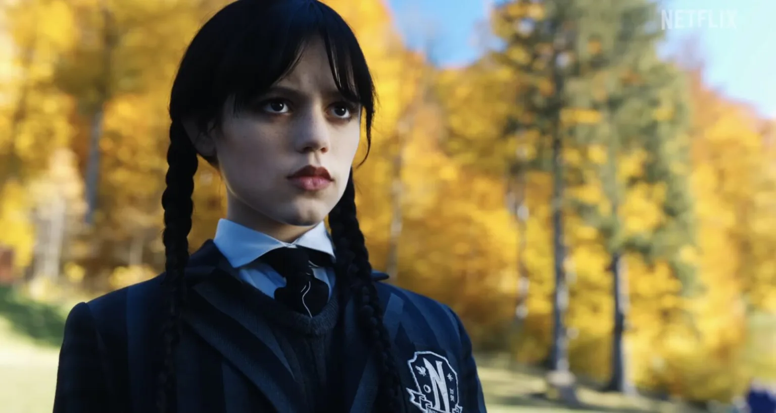 Wandinha é uma das series mais assistidas da Netflix (Foto: Divulgação)