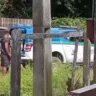 Momento da prisão do idoso (Foto: Divulgação) 