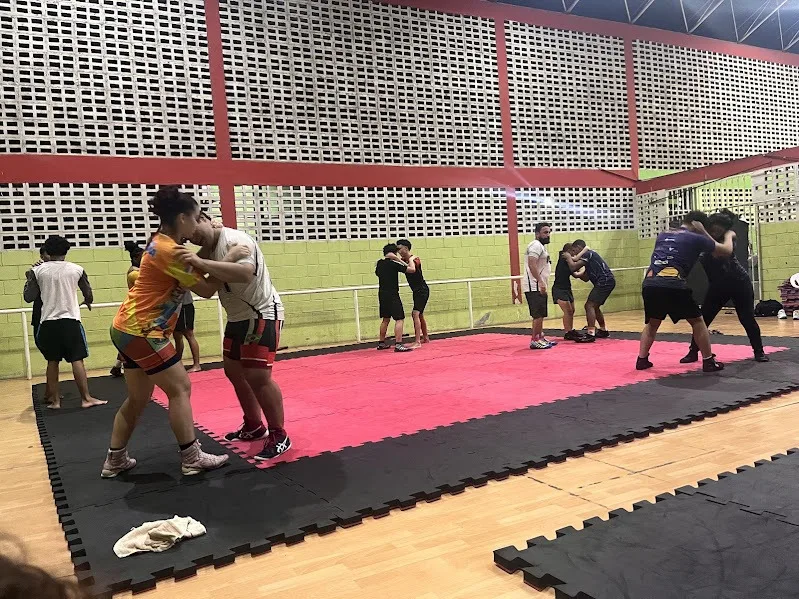 Alunos de Wrestling durante o treino