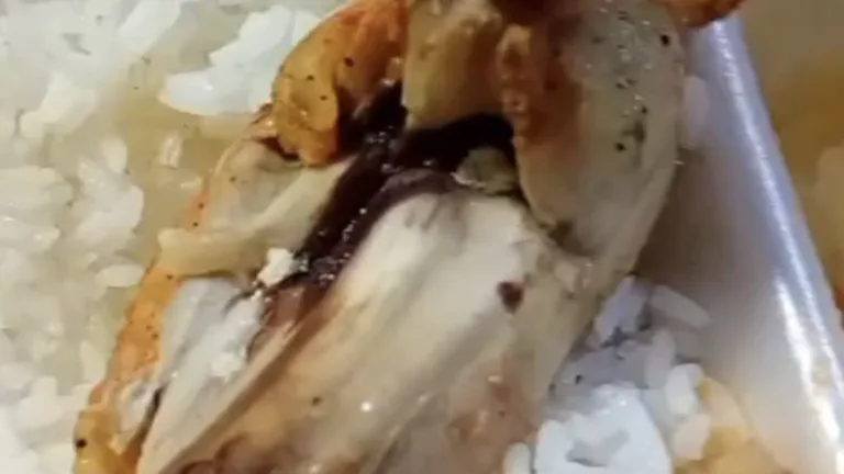 Pedaço de frango com larvas de varejeira (Foto: Reprodução)