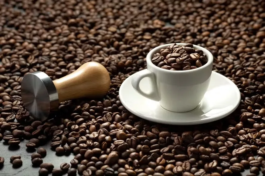 Saiba como particiar de oficina gratuita de torra e degustação de café