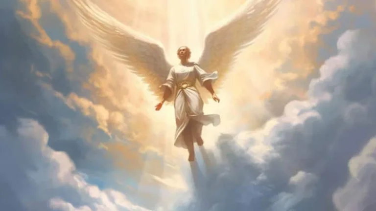 O Anjo criador