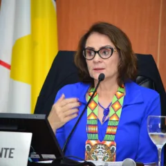 A senadora Damares Alves, presidente da Comissão de Direitos Humanos do Senado, durante audiência na ALE-RR (Foto: Nilzete Franco/FolhaBV)