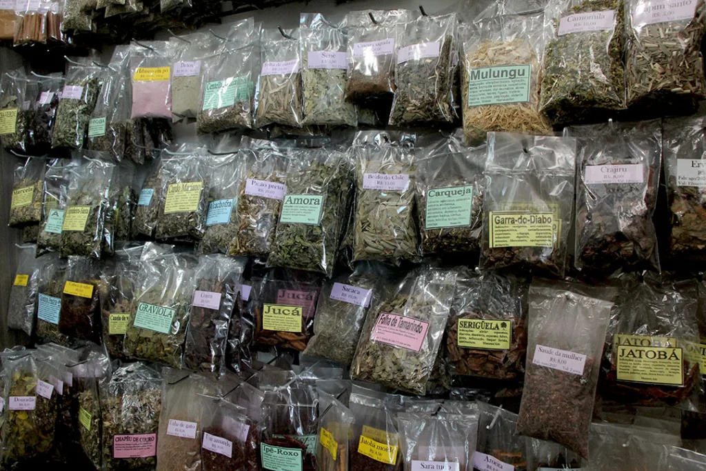 Chás que acalmam, tratam e fortalecem: conheça 10 ervas medicinais e seus benefícios