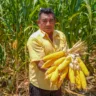 Inscrições abertas para compra de alimentos da agricultura familiar indígena em Roraima