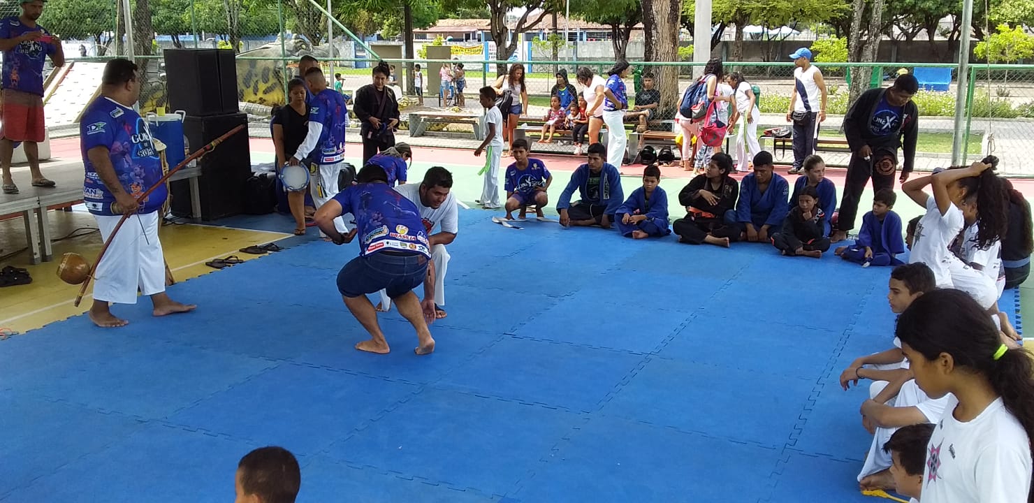 programação