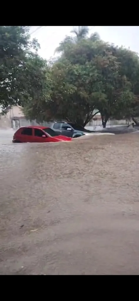 O aumento das chuvas provoca mais alagamentos e, com eles, cresce o risco de doenças. Veja quais são e como se proteger (Foto Divulgaçao)