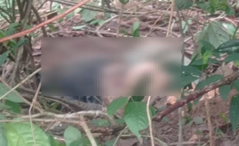 Corpo foi encontrado na tarde dessa segunda-feira, 19 (Foto: Divulgação) 