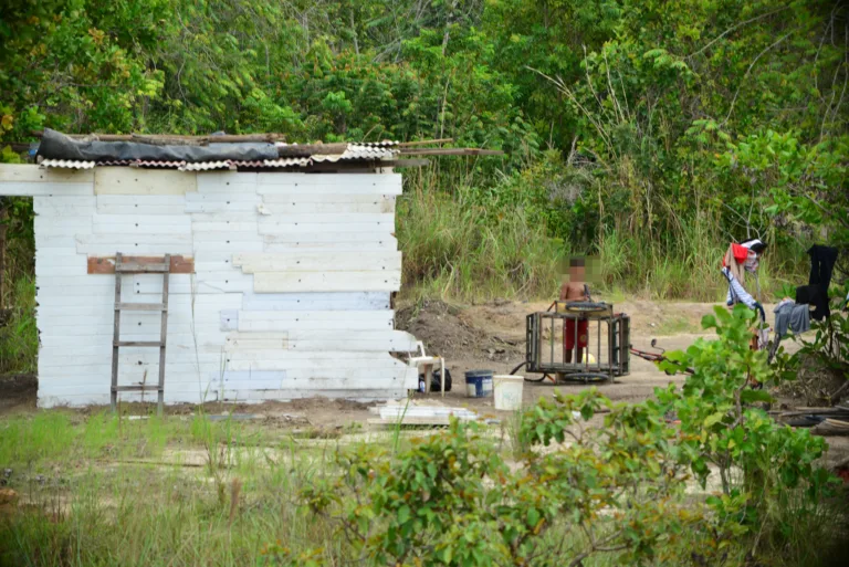 Invasão, que estaria acontecendo há uns cinco anos, expandiu ao longo da RR-207. Foto: Nilzete Franco/FolhaBV