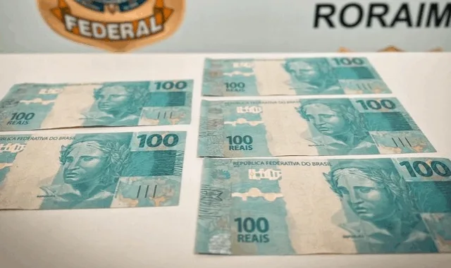 O material estava em uma encomenda enviada pelos Correios. (Foto: Divulgação/PF)