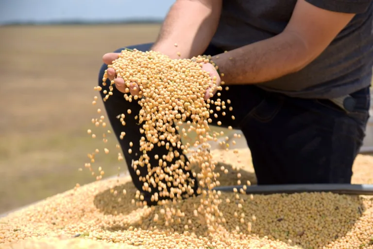 Desde o início da Seeai, área plantada de soja no Estado aumentou de 28 mil hectares para 130 mil hectares e número de produtores também cresceu de 44 para 176, fruto de atração de investimentos (Foto: Arquivo/Secom)
