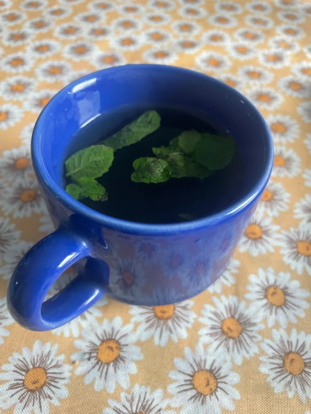 O ideal é preparar o chá com folhas frescas ou secas, deixando-as em infusão por cerca de 5 a 10 minutos em água quente (Foto: Raisa Carvalho/FolhaBV)
