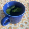 O ideal é preparar o chá com folhas frescas ou secas, deixando-as em infusão por cerca de 5 a 10 minutos em água quente (Foto: Raisa Carvalho/FolhaBV)