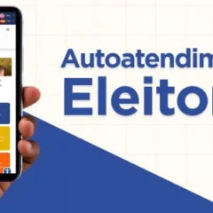 Várias solicitações podem ser feitas sem sair de casa (Foto: TRERR)
