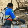 O levantamento foi realizado entre os dias 5 e 9 de maio, com o objetivo de identificar a presença de criadouros do mosquito transmissor da dengue em domicílios e áreas próximas. (Foto:  Ascom/Sesau)
