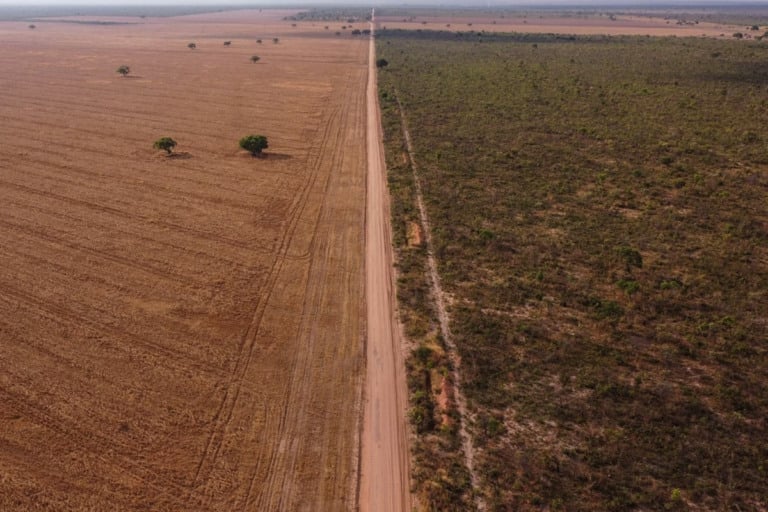 Esfacelamento da licença ambiental e a autodeclaração que beneficiava o garimpo
