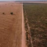 Esfacelamento da licença ambiental e a autodeclaração que beneficiava o garimpo