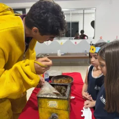 Programa leva conhecimentos sobre apicultura a estudantes de Boa Vista