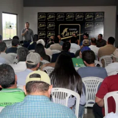 Abate reduzido, taxas em alta e escalas travadas: pecuaristas apontam entraves na produção de carne em RR