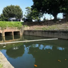 ecobarreiras