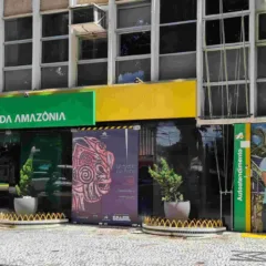 Entre janeiro e março, o banco destinou R$ 1,7 bilhão a linhas de crédito verdes (Foto: Divulgação) 