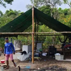 "Sítio Serrinha" na região do Água Boa do Univini no Baixo Rio Branco, em Roraima (Foto: Divulgação)
