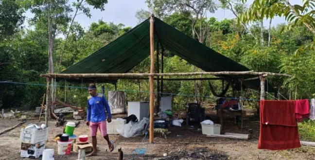 "Sítio Serrinha" na região do Água Boa do Univini no Baixo Rio Branco, em Roraima (Foto: Divulgação)

