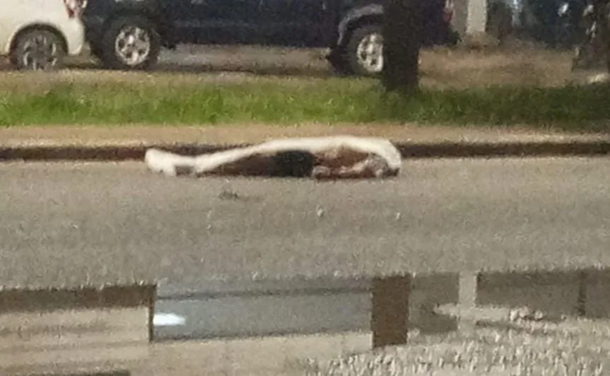 O acidente ocorreu na Avenida Venezuela com a Alameda das Papoulas, no bairro Pricumã (Foto: Divulgação) 