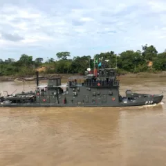 NPaFlu Roraima