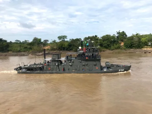 NPaFlu Roraima