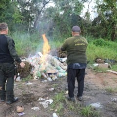As malhadeiras apreendidas foram destruídas por incineração, conforme determina a Lei nº 9.605/1998. Foto: Ascom/Femarh