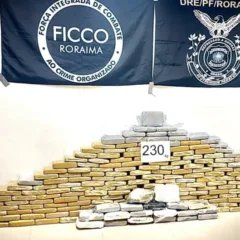 Dois brasileiros e colombiano são presos com 230 kg de drogas