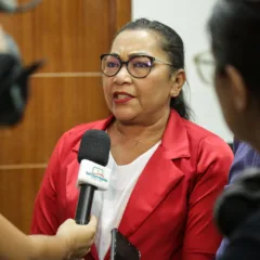 A diretora-geral do Sinter, Josefa Matos