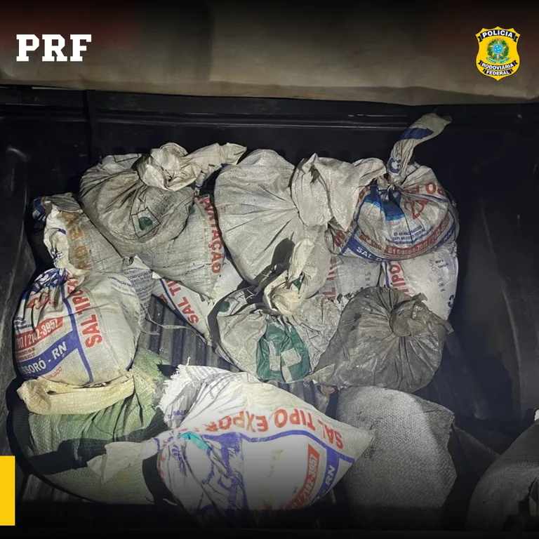 800kg de cassiterita