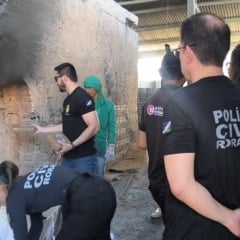 Foto: divulgação/PCRR