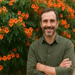 6 dicas para Bignônia a trepadeira que explode em flores em junho