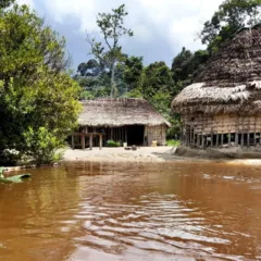 Comunidade às margens de rio em Uiramutã (Foto: Divulgação)