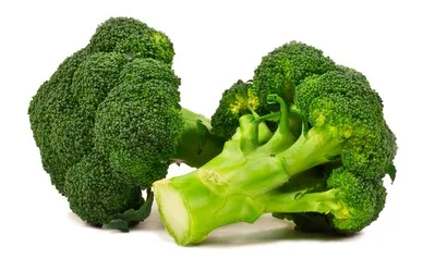 O brócolis é uma verdadeira fonte de nutrientes. Ele é rico em:
Vitaminas A, C, K e do complexo B (Foto Divulgação)