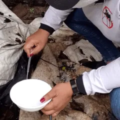 A situação de Roraima para as arboviroses nesse período é de alerta (Foto: Ascom/Sesau) 